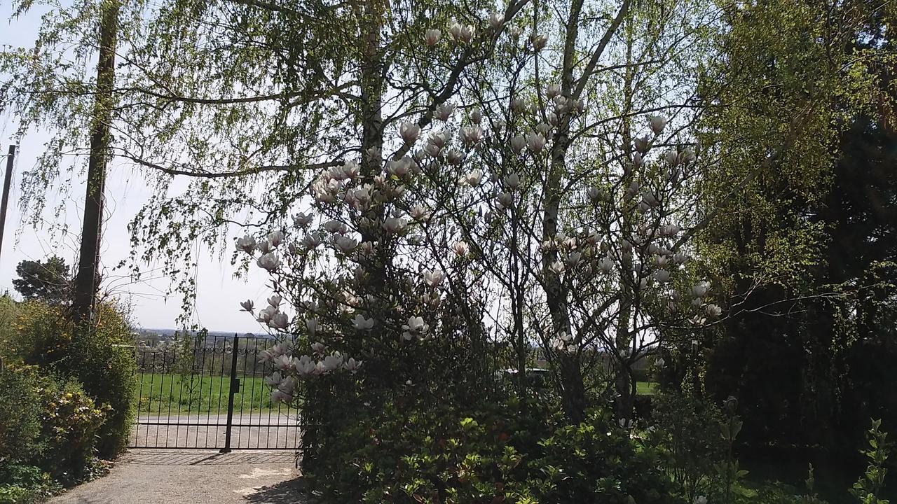 Frutta Villa تشيرستوموي المظهر الخارجي الصورة
